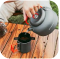 Odoland Coffee Pot