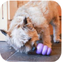 KONG Senior Dog Toy