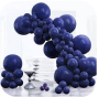 Partywoo Balloon Kit