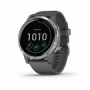 Garmin
