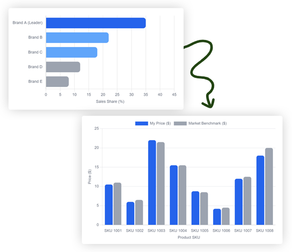 Project Overview